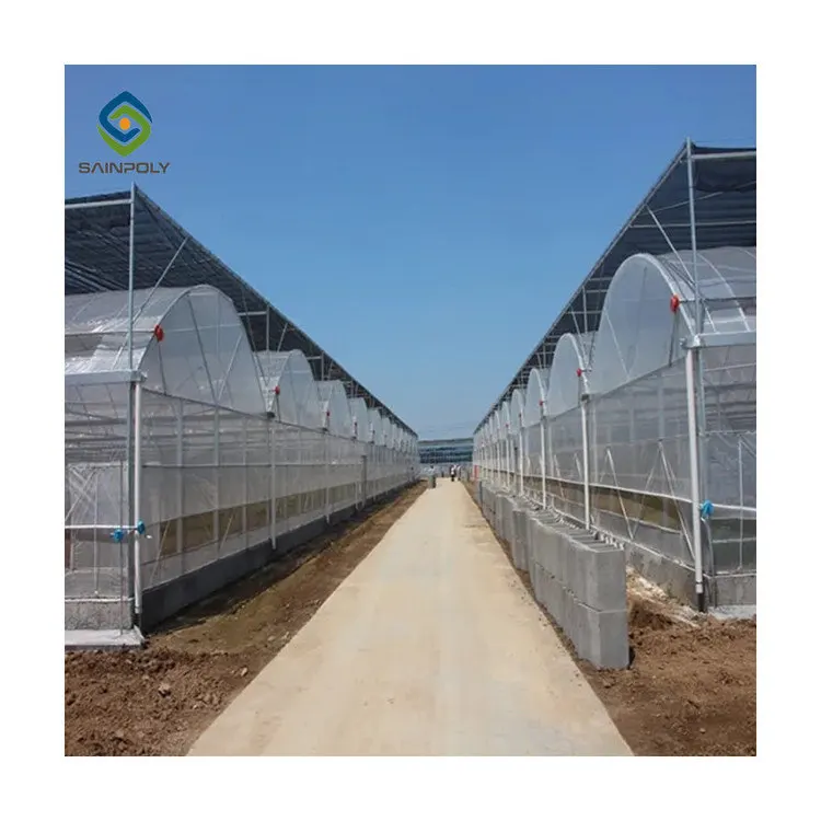 Agriculture multi-span arch plastic film Greenhouse tomato greenhouse and strawberry greenhouse turnkey project