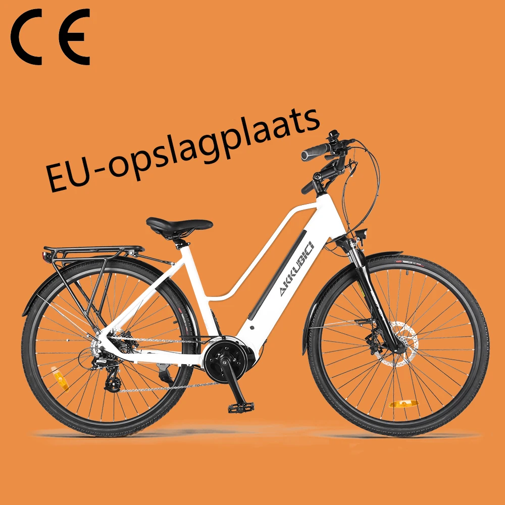 Akkubici CE cert 250 Вт electr велосипеды высокого качества импортные электрические велосипеды из Китая