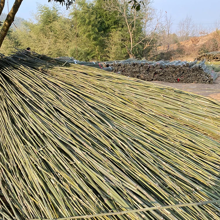 Tough Bamboo Poles For Making Walking Poles And Walking Sticks Raw Materials For Bamboo Hiking Poles