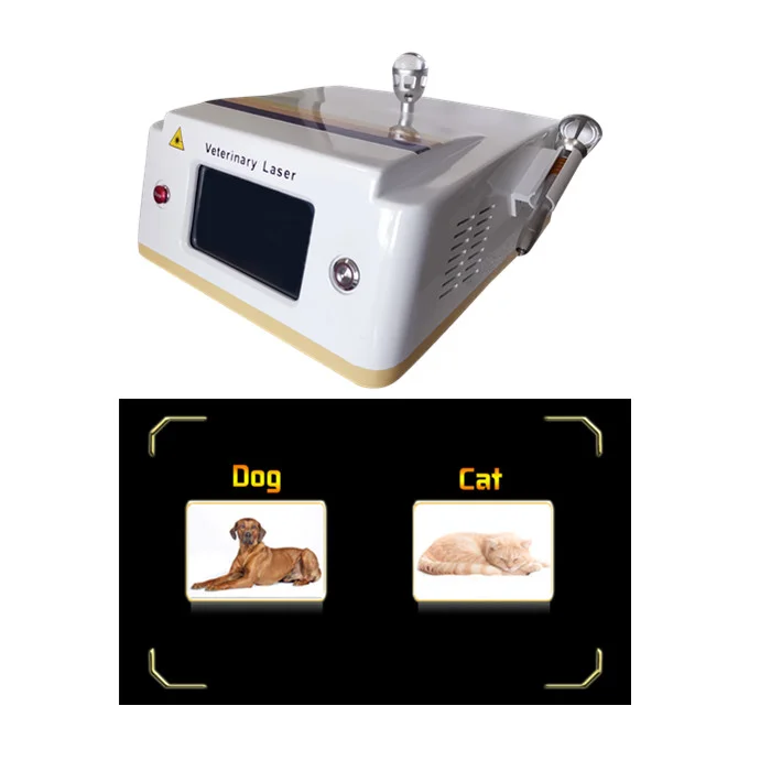 Beijing sunrise class 4 veterinary laser near infrared light therapy device 980nm laser therapy