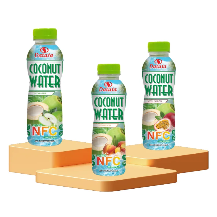 Real Fruit Juice Datafa Food Flavor Juice Bottles Custom Juice Can Customized Packaging No Sugar Vietnam Product Manufacturer