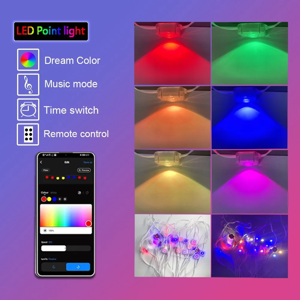 outdoor DIY Garden decor light LED RGBIC chips Blue--tooth wireless remote controller smart housing ambience decorating lamp