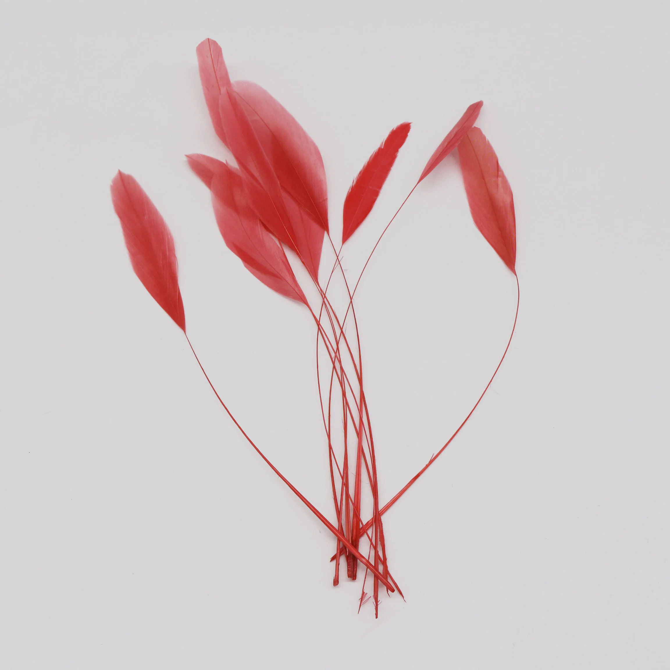 party decoration stripped coque feather
