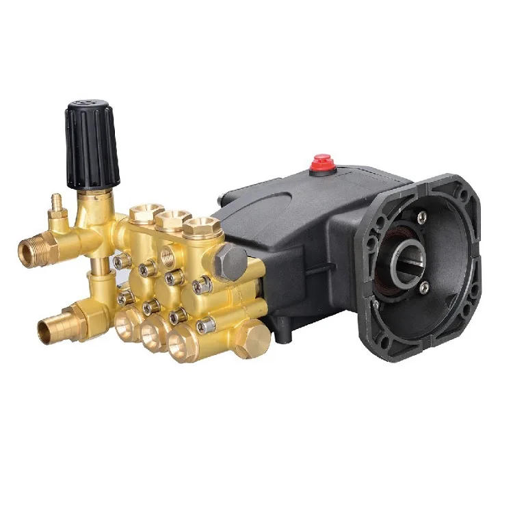 
OEM Service 220V High pressure pump high pressure washer pump high pressure washer water pump 