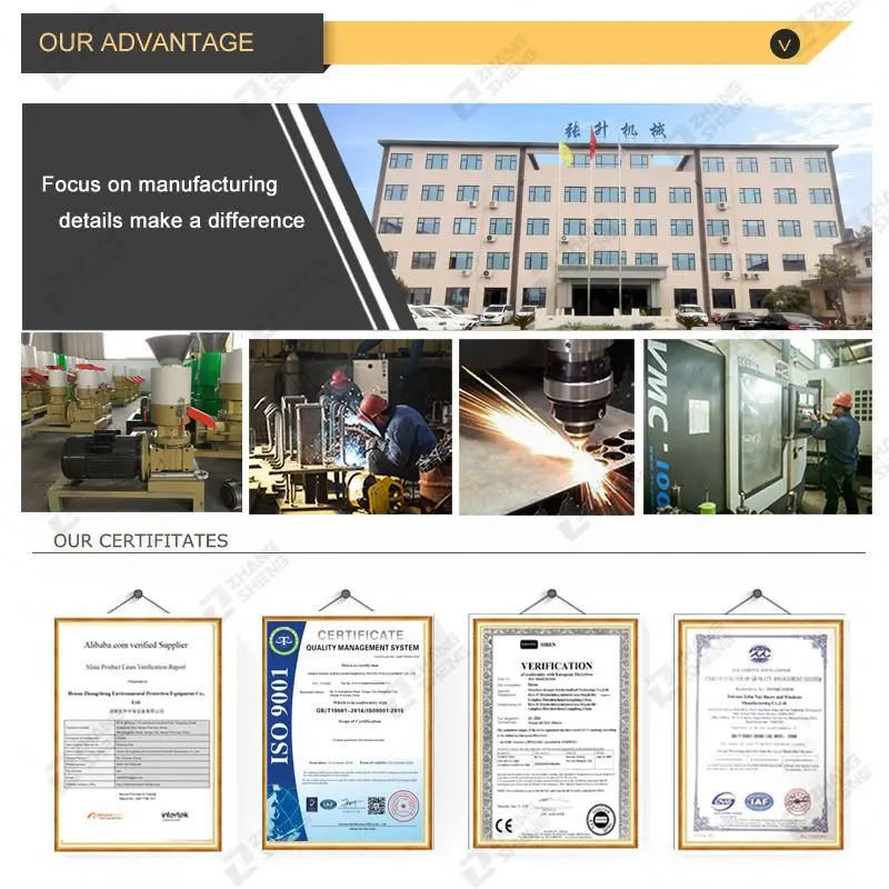 flat die pellet horizontal machine pellet machine flat die pelletizer zhangsheng machinery making