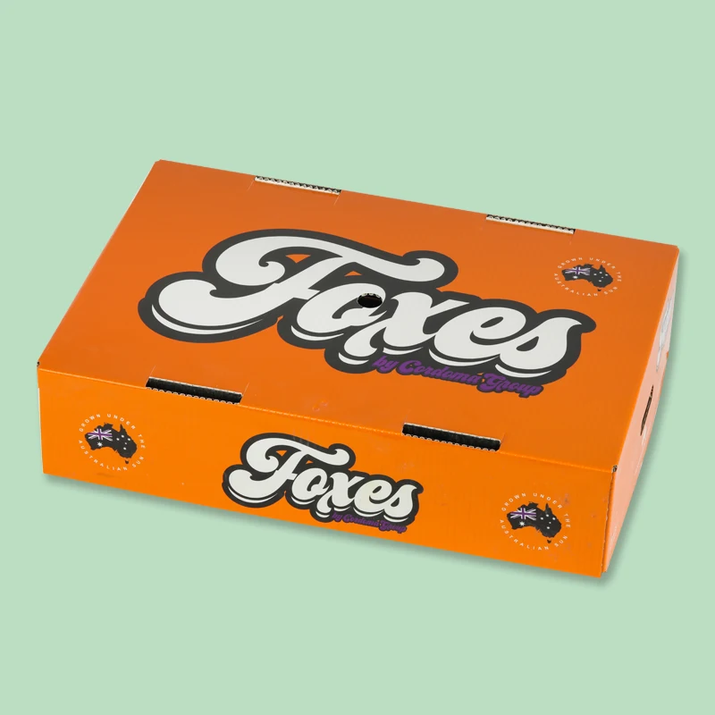 PE Box Low Price Customized Anti-static PE Plastic Storage Box  Wax coated cardboard box for fruit and vegetable packaging