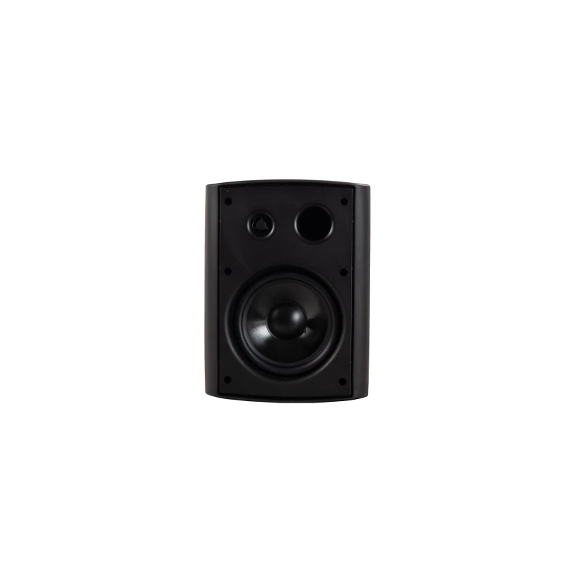 DUAL USE speaker factory hot-selling wall-mounted speakers suitable for various places multi-function speakers