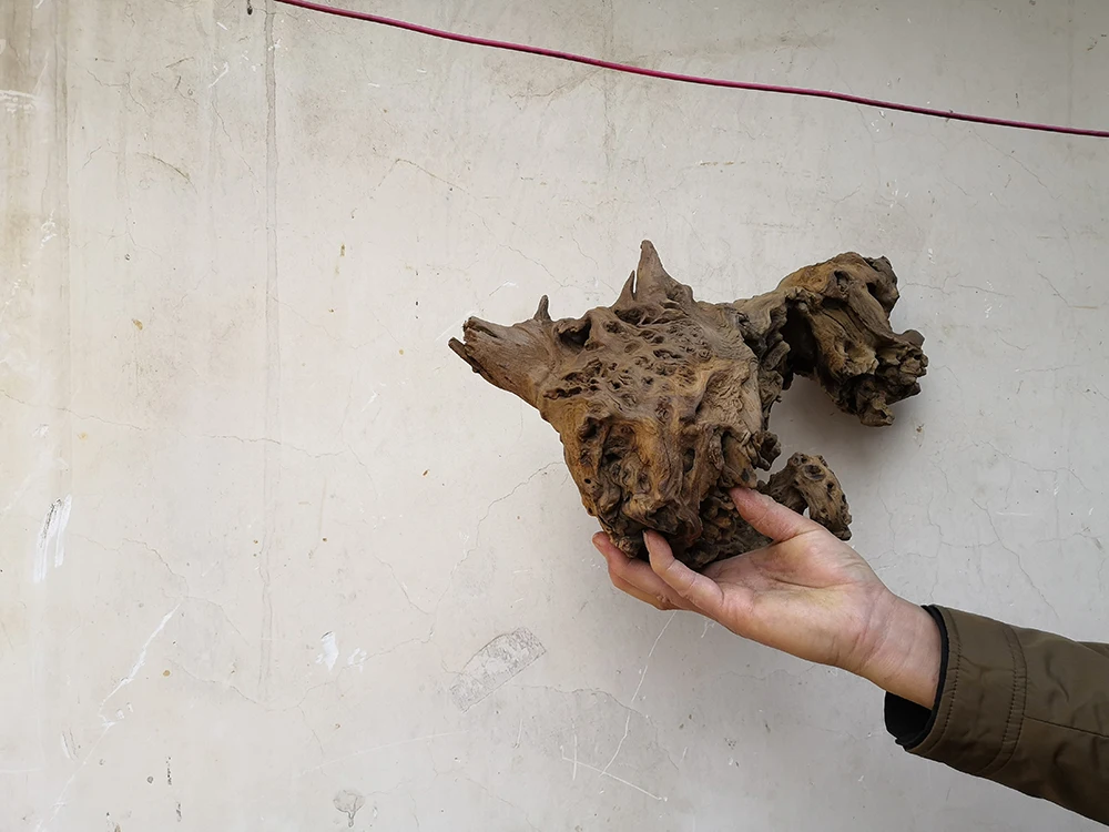 Decorative driftwood bonsai mangrove aquarium driftwood quality products