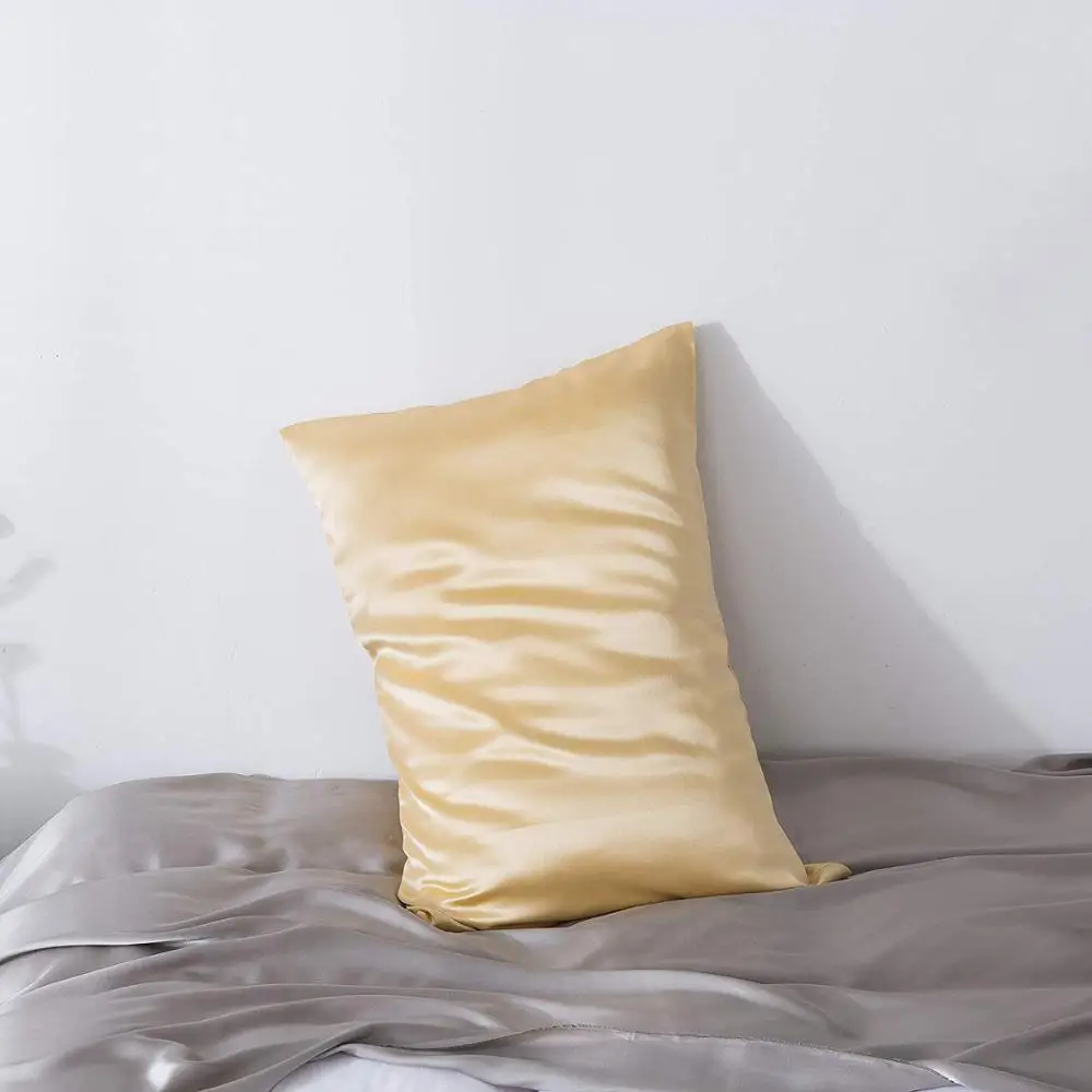 Pure natural mulberry silk 19MM pillowcase