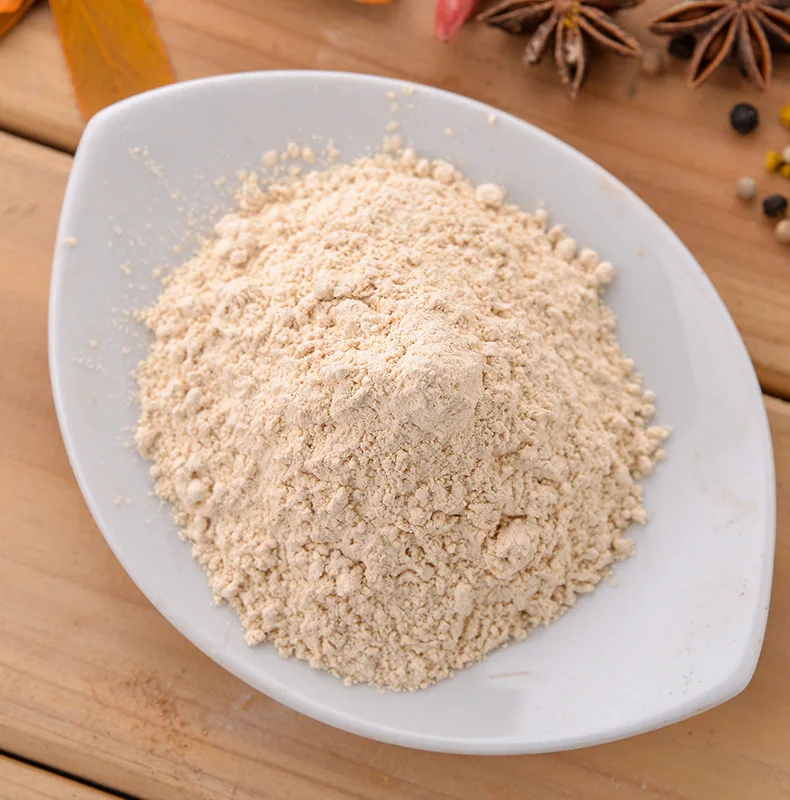 Factory Directly wholesales 2023 new crop healthy food garlic powder 100% purify organic garlic powder for spices seasonings