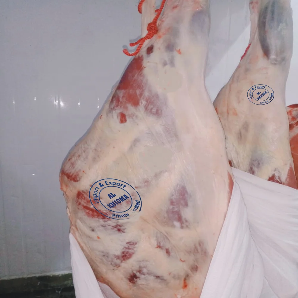 Экспортное качество, оптовая продажа/замороженное мясо, говядина, Халяль, убоя