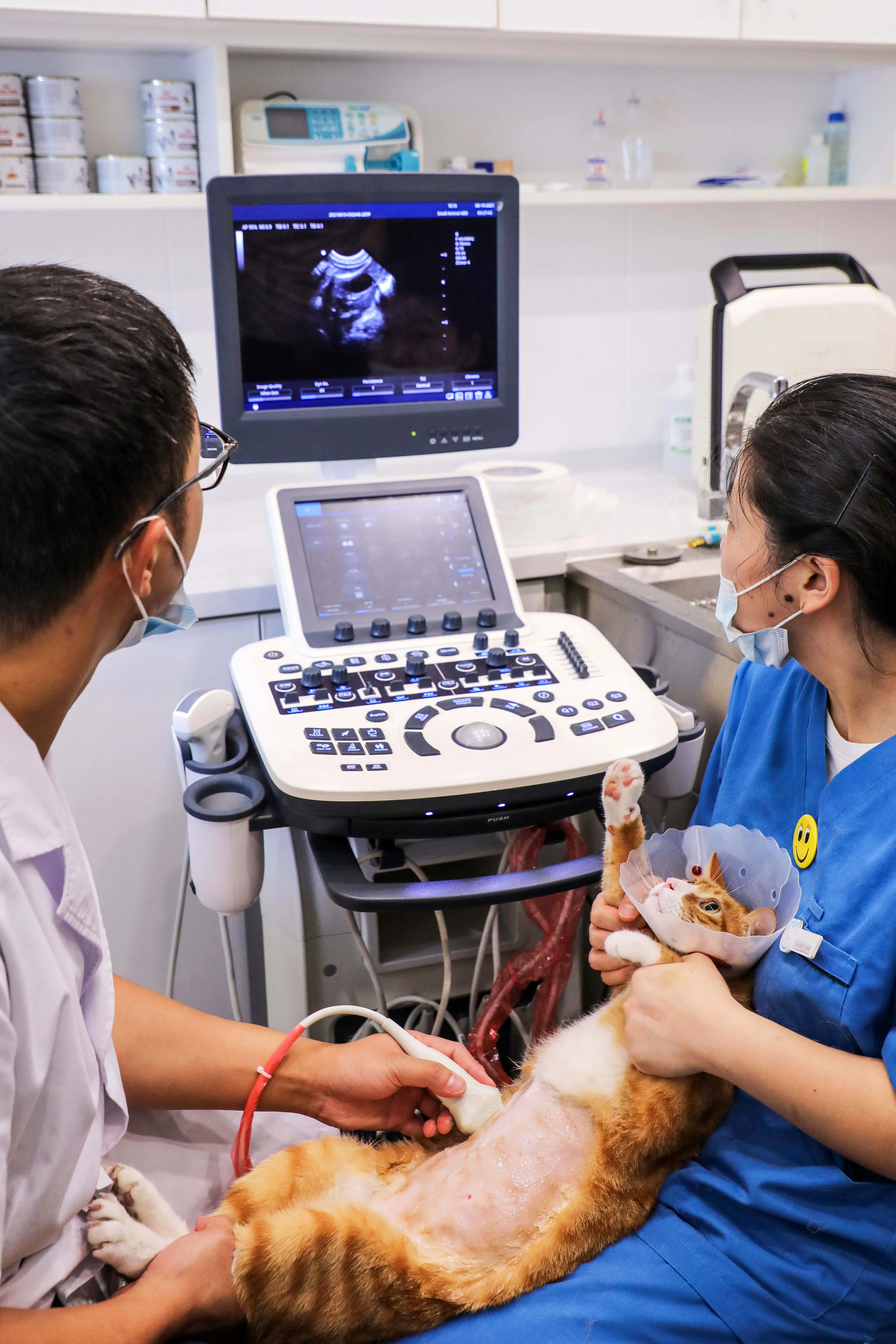 2023 New Arrival Zoncare P7 Trolley Veterinary Color Doppler 3D 4D Portable Ultrasound Machine Scanner Price