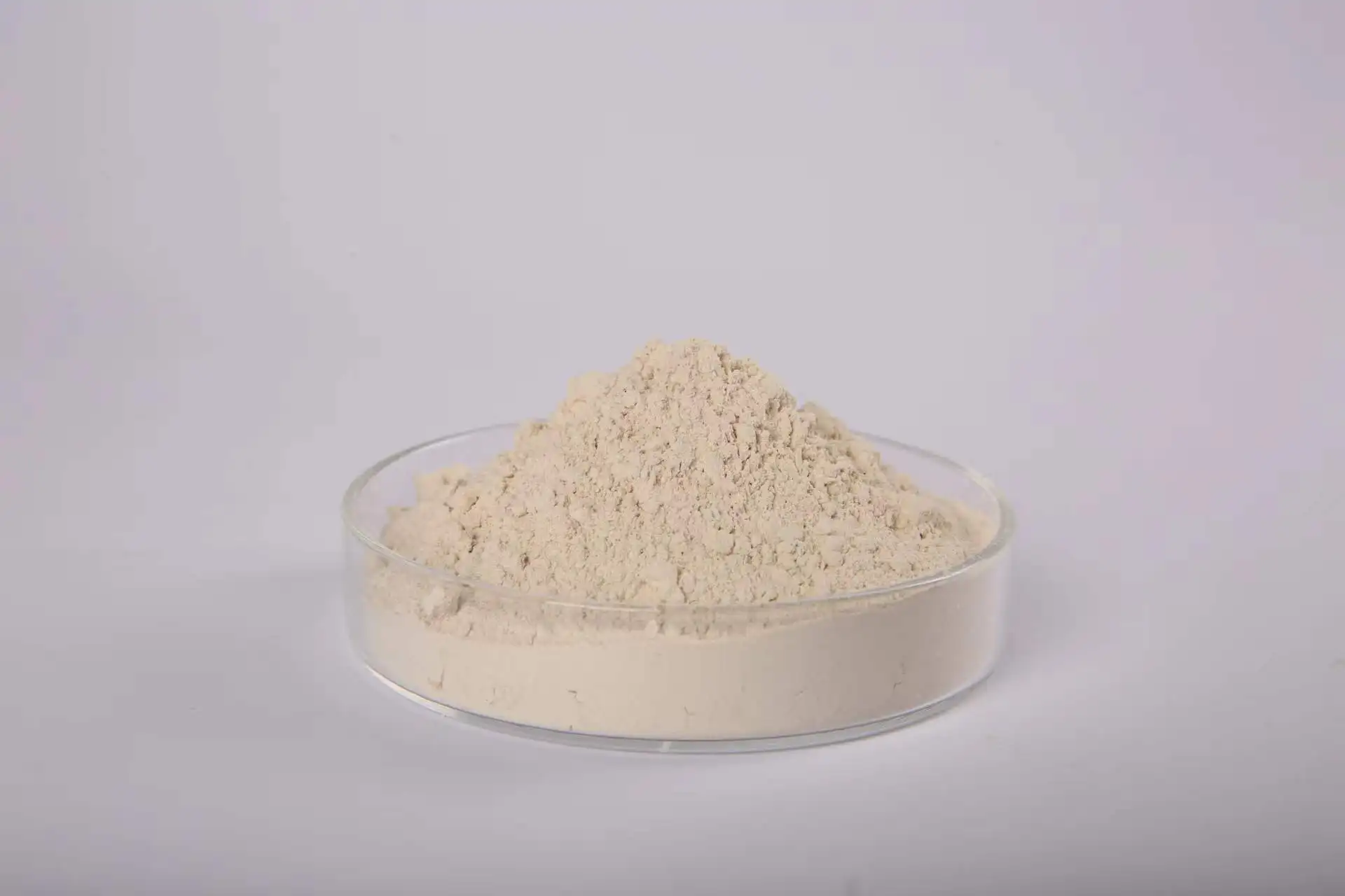 serrapeptase the inflammatory edema of rat skin caused by various pro-inflammatory