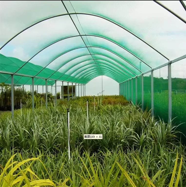 Agriculture sun shade net Green Plastic Mesh For Vegetable Shade Netting Greenhouse shade Cloth