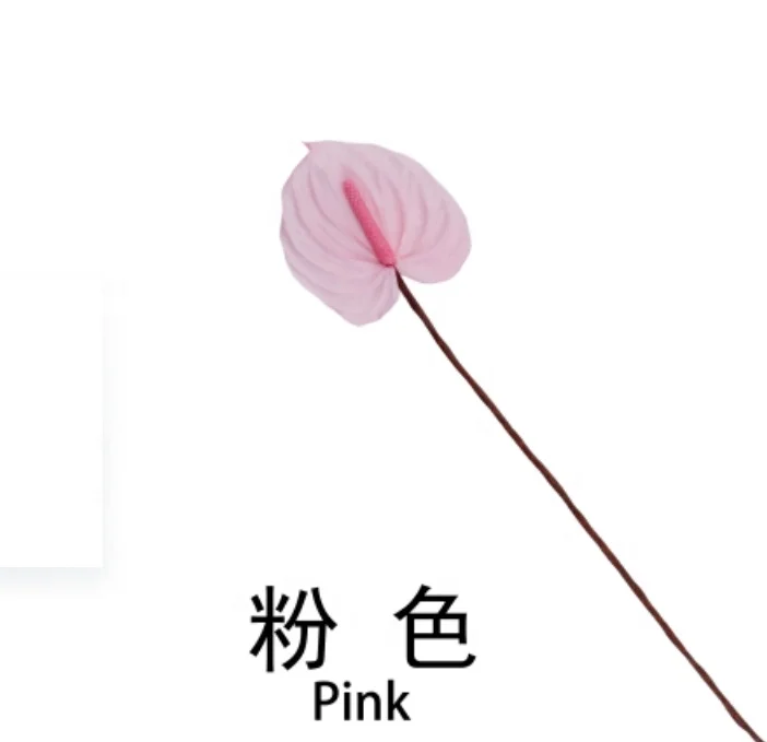 New Arrival Dried Preserved Anthurium Flamingo Lily Flower Bouquets For Home Decoration Bouquet Vase Arrangement