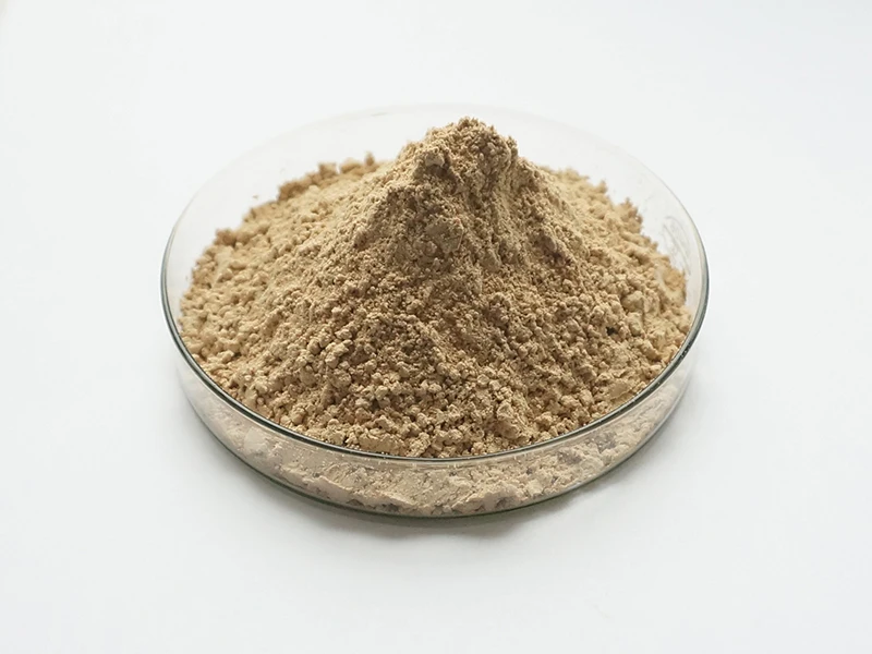 40% Soybean Extract Powder Isoflavone