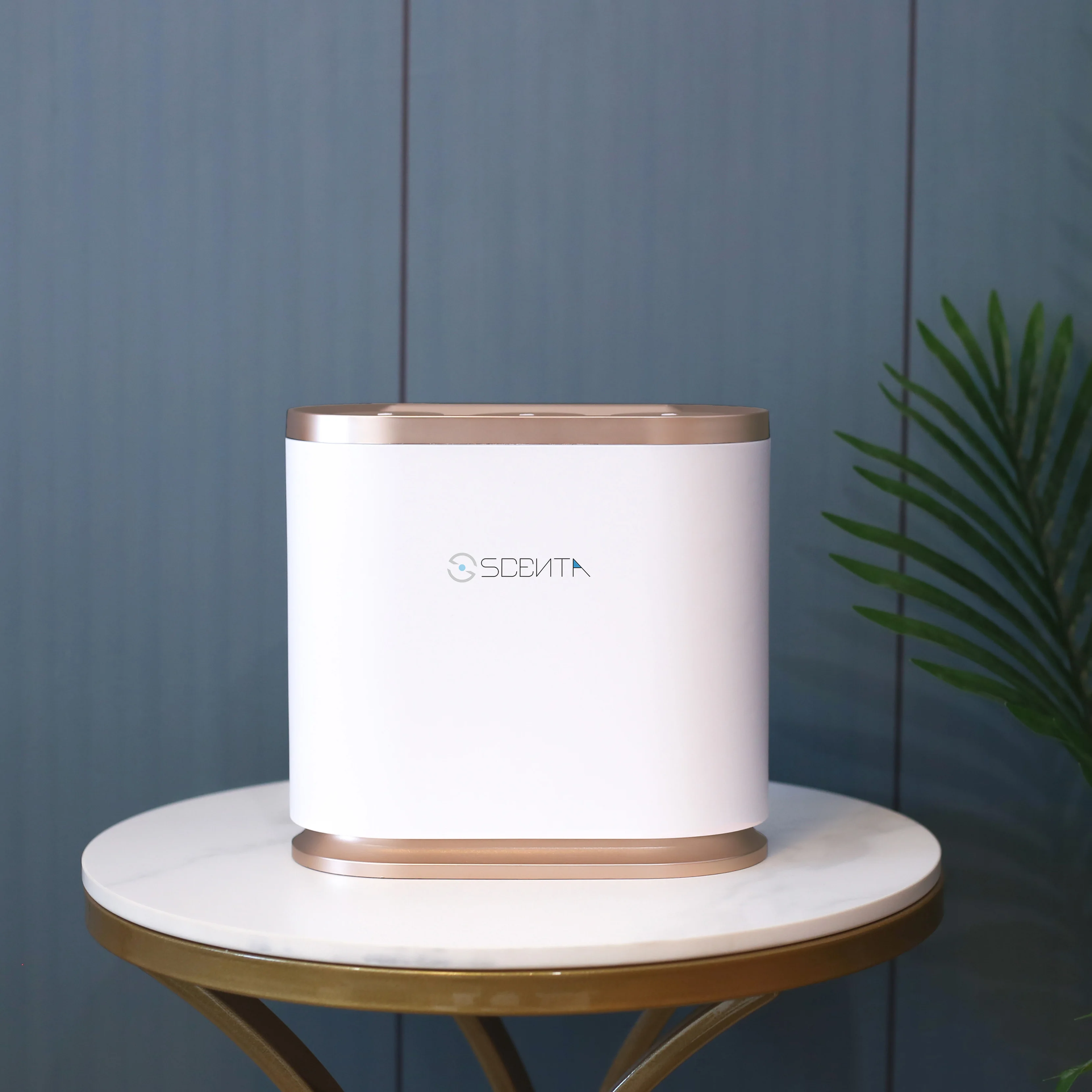 SCENTA Aromatic Pure Oil Refill Waterless Automatic Aroma Diffuser Machine Luxury Multiple Perfume Refill Scent Machine