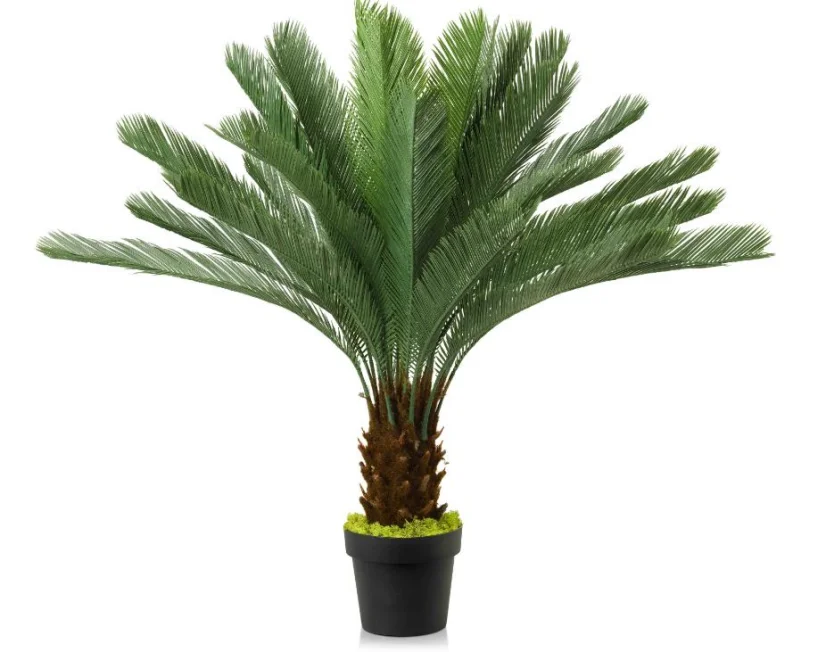 Cycas palm UV 90cm without pot--DVP S2-5