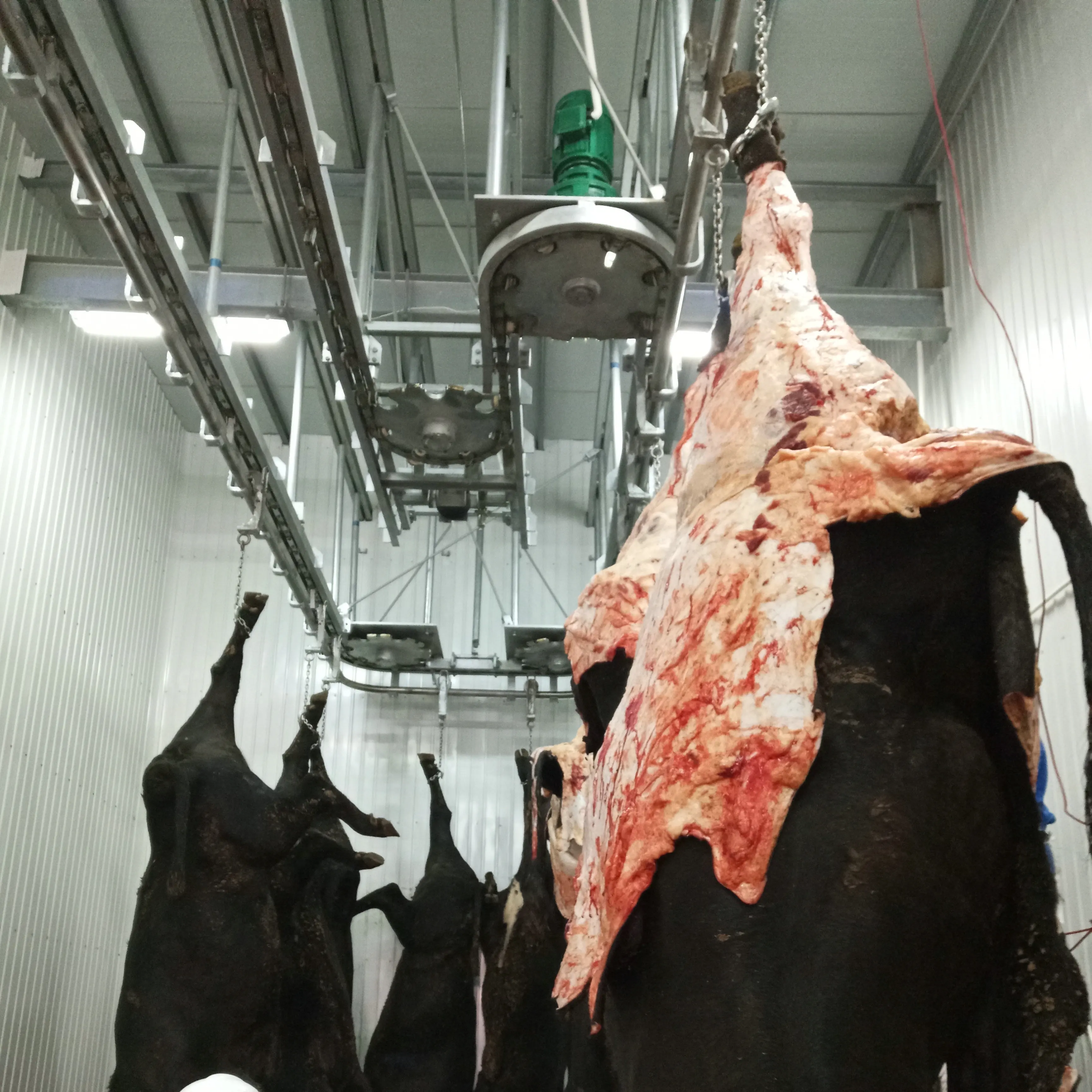 Verified Halal Abattoir Slaughterhouse Machine Cattle Slaughtering Equipment