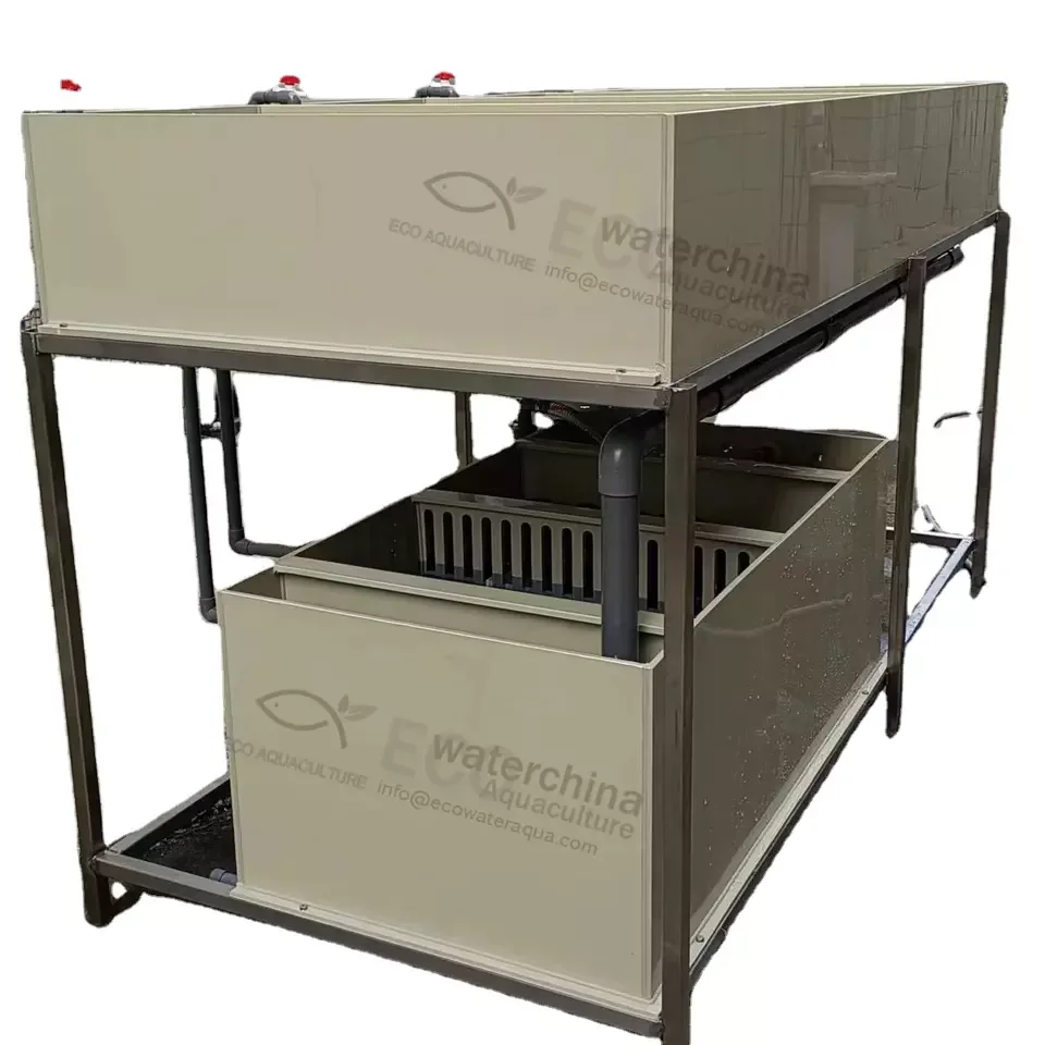 ECO NEW hydrostatic recirculation aquaculture fish incubatio ras system aquaculture equipment