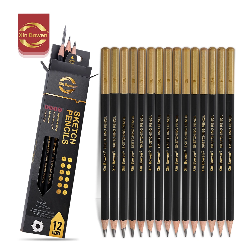 Xin Bowen Professional Black 12Pcs Sketch Pencil Set HB/2B/4B/6B/8B/10B/12B/14B /Assorted Types Art Graphite Drawing Pencil