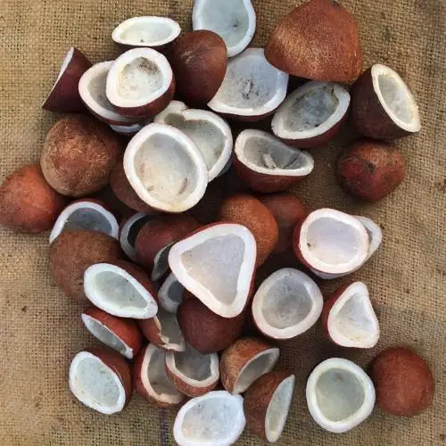 
 Кокосовая наполовину нарезанная натуральная Высококачественная сушеная Кокосовая чаша наполовину нарезанная индийская  