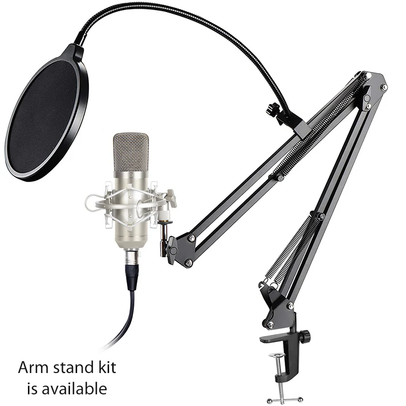 Professional Studio Recording Condenser Microphone and Accessories