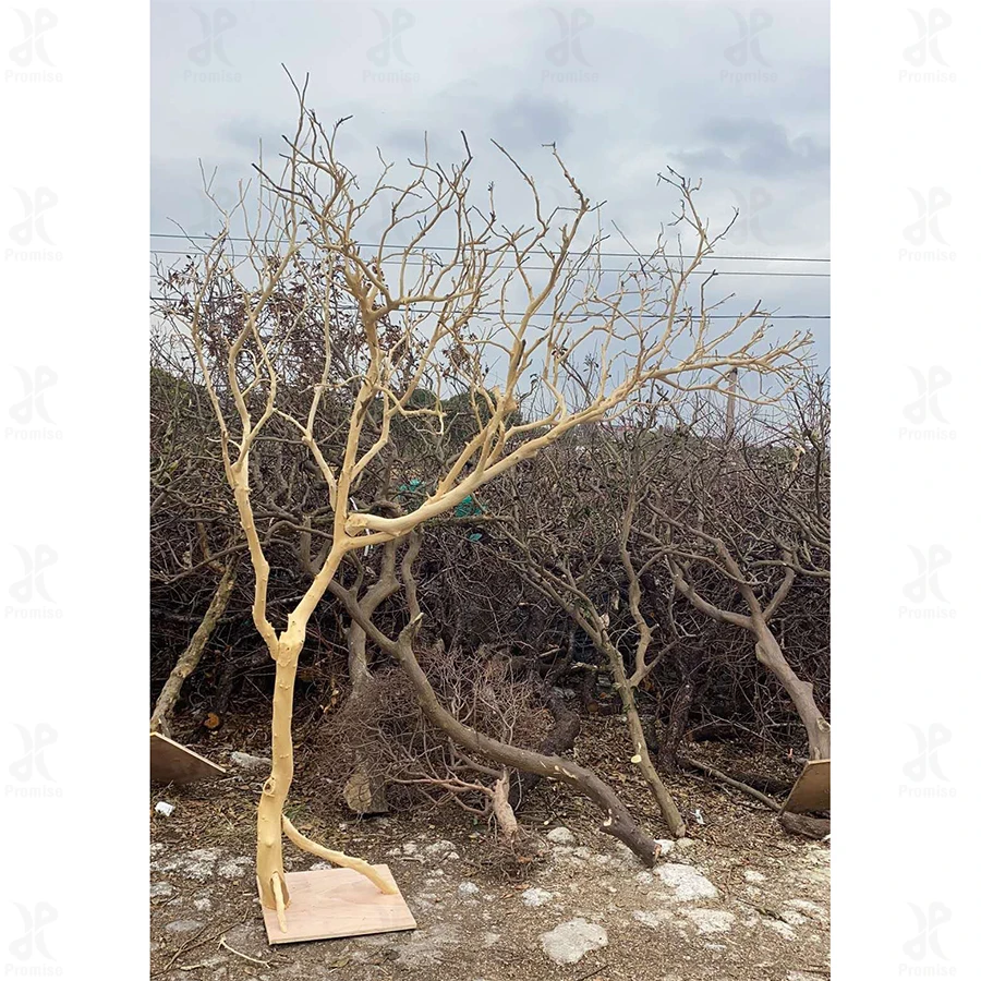 Promise Customized Event Decoration Tree Wooden Artificial Trees without Leaves