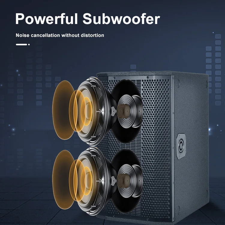 Accuracy Pro Audio AC22TG Column Speakers Professional Speakers Audio System Sound Professional Music Active Column Speaker