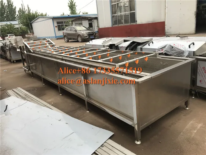 Edamame pea carob air bubble ozone washing machine/high pressure water sprayer vegetable cleaner