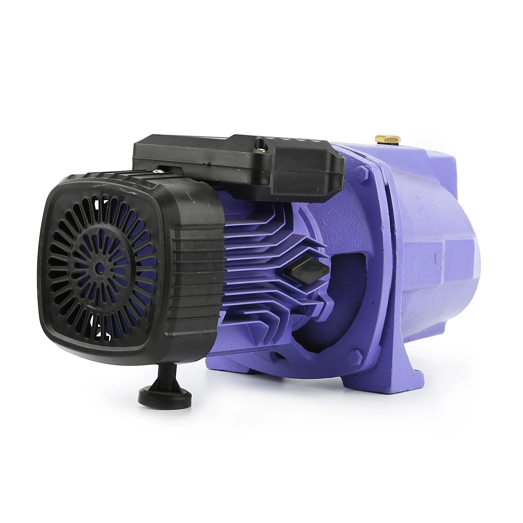 DACHENG 110V 220V JSW irrigation surface jet100 Auto Electric Power Motor 1hp Water Pressure jet Pump