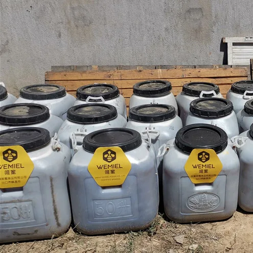 New Season Pure Natural Sidr Al Maliki Honey