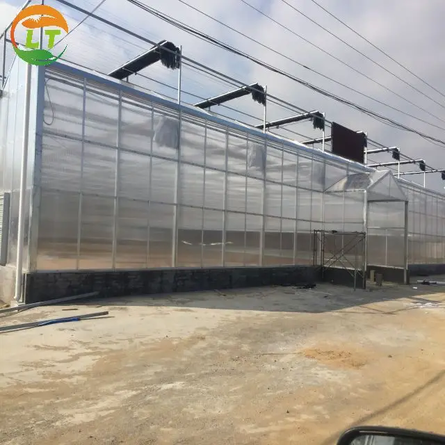European quality economical polycarbonate greenhouse with panels for