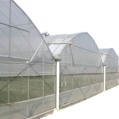 Sainpoly Hot Sale Agricultural Greenhouses Plastic Films Greenhouse Large Small Sizes
