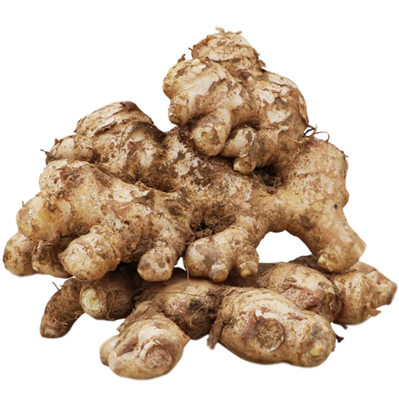 To Europe From Factory Exporting New Season Fresh Ginger