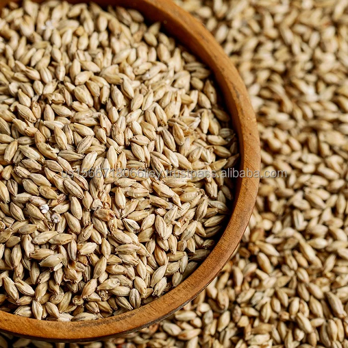 Wholesale Superfine Wheat Bran 100% Quality Dry Bran for Animal Feed for Fish Pig and Cattle