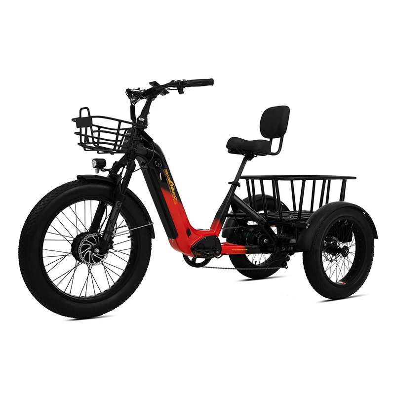 New Product 160NM dual motor 48v 2000w electric tricycle dual batteries 40ah step thru torque sensor bafang electric trike