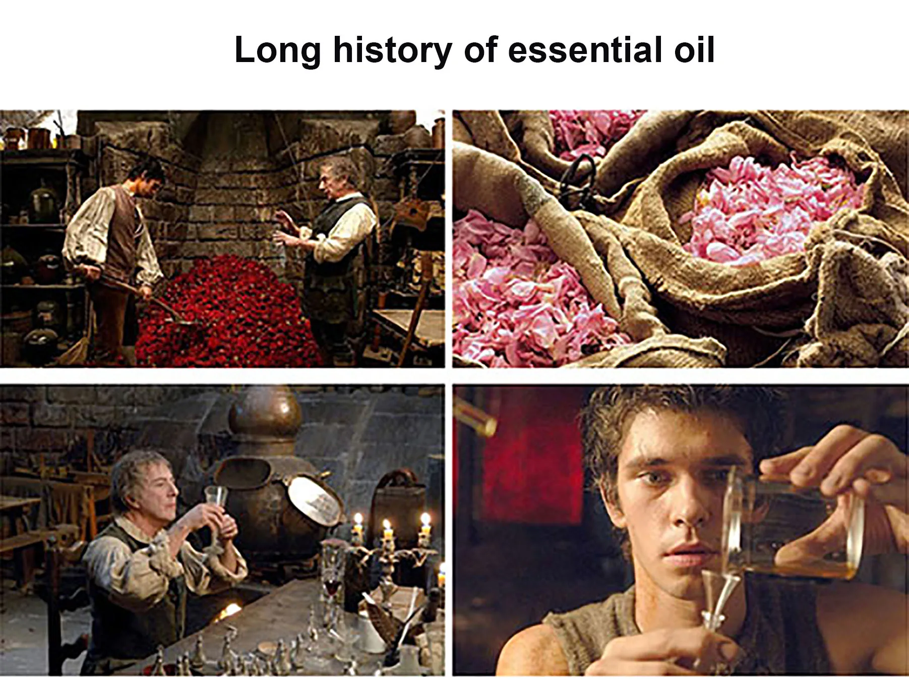 Ruiyuan Wholesale frankincense essential oil distillation equipment hemp essential oil extractor