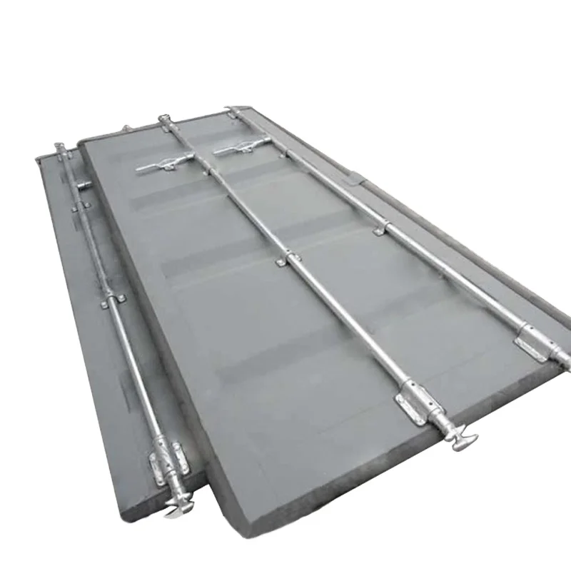 Custom Made Rear or Side 20ft 40ft Shipping Container Door