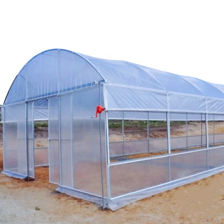 High quality cheap price greenhouse farm for tomato growing .