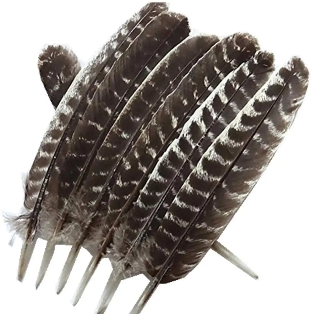 Turkey Feathers 10 Pieces Discount Wholesale Discount Wholesale DIY Decoration Collection Purification Energy Feathers