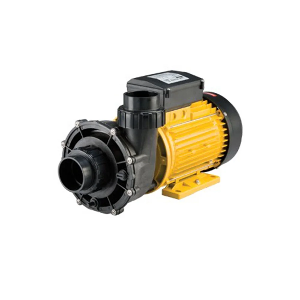 0.75KW  220V Water Pumps Aquaculture European hydro massage bath pump LX TDA-100