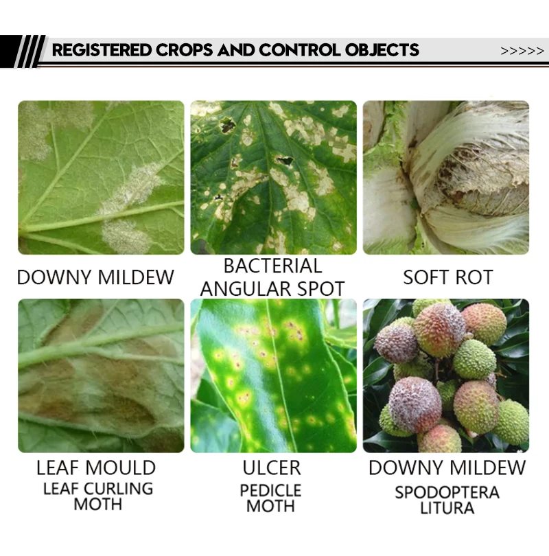 47% Kasugamycin King Copper WP Bacterial Disease Downy Mildew Agricultural Pesticide Fungicide