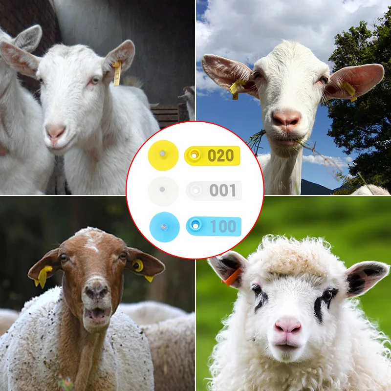 Customizable Animals Ear Tags Durable Livestock Identification Card Plastic TPU Sheep Goat Ear Tag for Sale