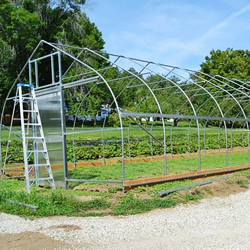 Cultured Mushroom Greenhouse with Hot Dip Galvanized Single Span Tunnel House Design Featuring a Galvanized Steel Frame