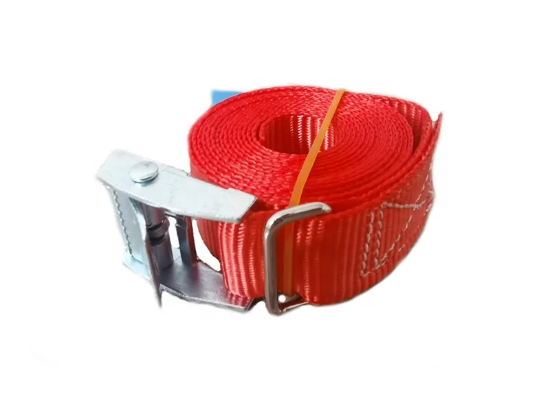 Logistics cargo lashing  heavy duty width 25mm 500kg cambuckle ratchet tie down straps