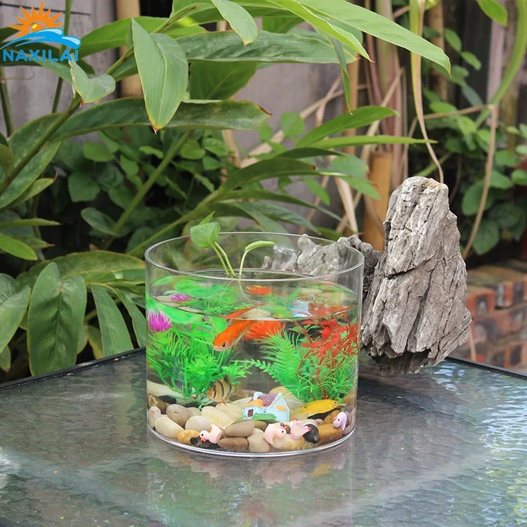 
NAXIALI Acrylic Fish Tank Manifature Small Desktop Zebra Fish Acrylic Low Price Cylinder Aquarium Of Acrylic Fish Tank 