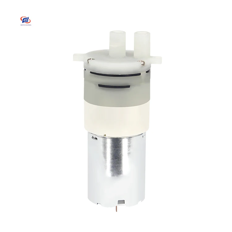 Fast Shipping Low Power Consumption Micro Electric Motor Water Pump