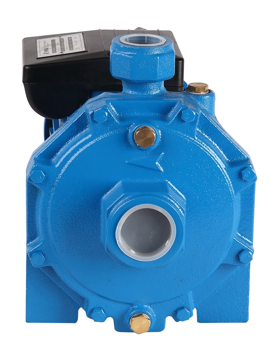 Economical High-Pressure Double Impellers Electric Water Pump Garden Irrigation Motor Power Supply Stainless Steel Iron