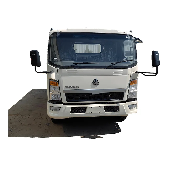 Sinotruk Small Cargo Truck 4x2 4x4 Diesel Mini Truck China Right Hand Drive Cargo Truck